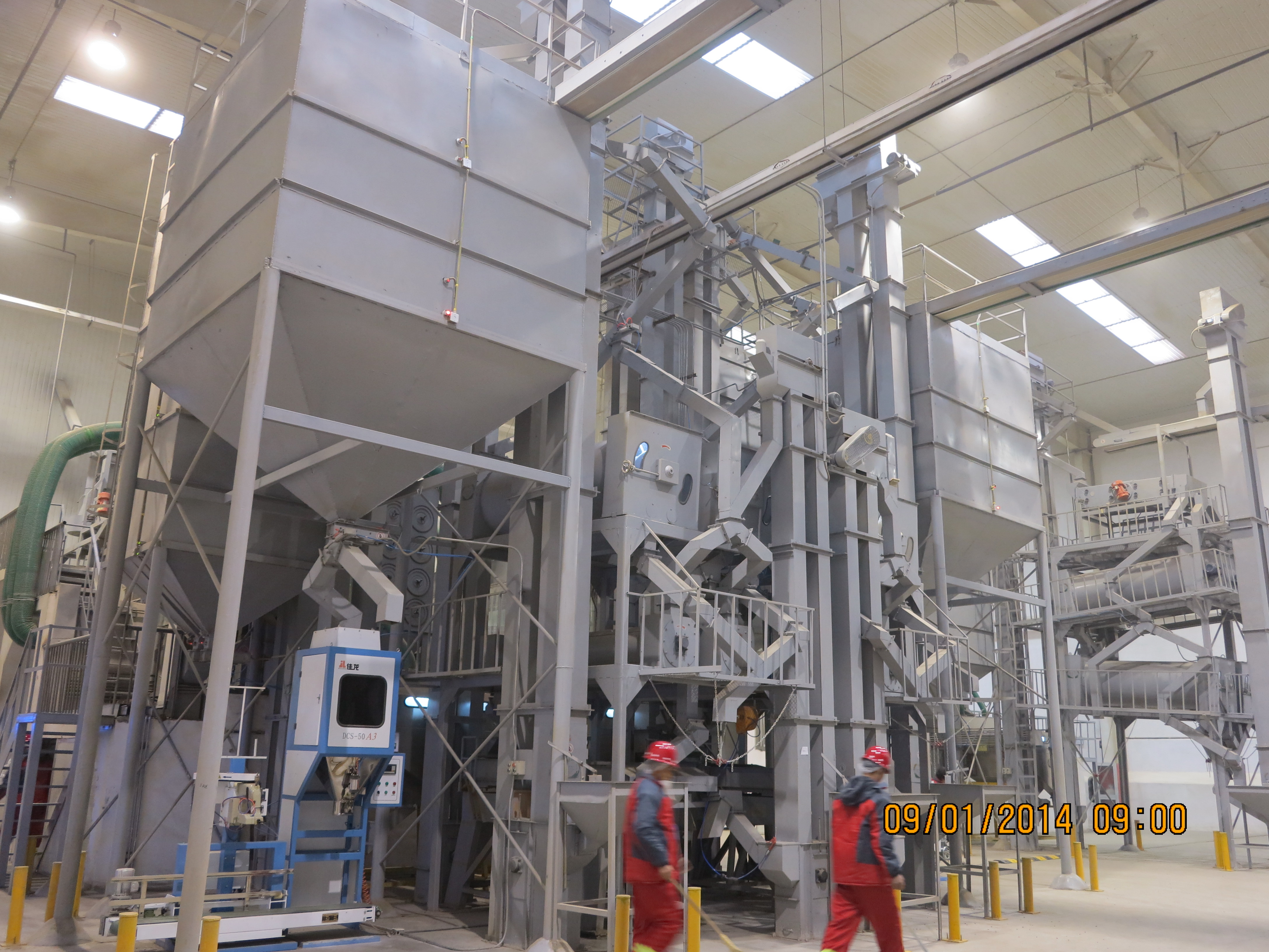 天津-蕓豆加工廠